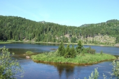 DSCF6373