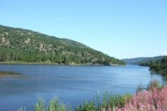DSCF6374