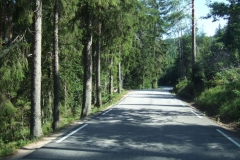 DSCF6376