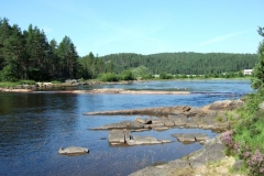 DSCF6389