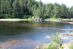 DSCF6392
