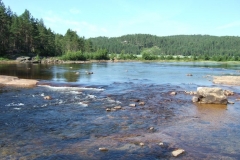 DSCF6393