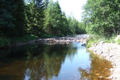 DSCF6408