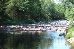 DSCF6409