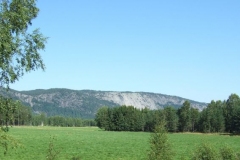 DSCF6419