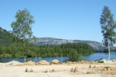 DSCF6422