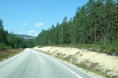 DSCF6440