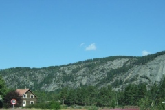 DSCF6441