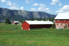 DSCF6446