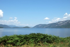 DSCF6473
