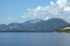 DSCF6490