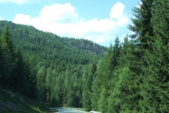 DSCF6501