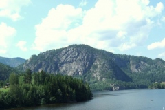 DSCF6516
