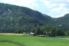 DSCF6519