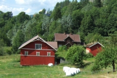 DSCF6535