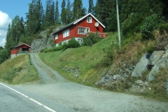 DSCF6537