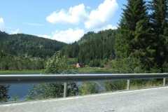 DSCF6539