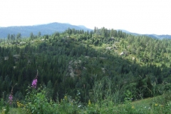 DSCF6553