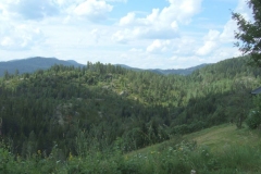 DSCF6554