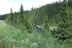 DSCF6561