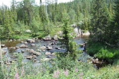 DSCF6565