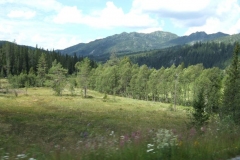 DSCF6572