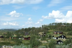 DSCF6602