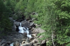 DSCF6696