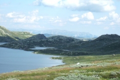 DSCF6786