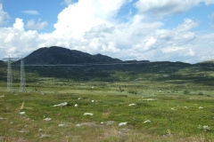 DSCF6800