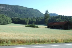 DSCF6847