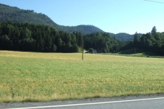 DSCF6849