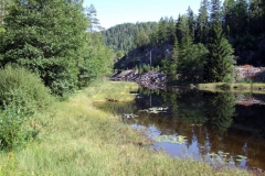 DSCF6850
