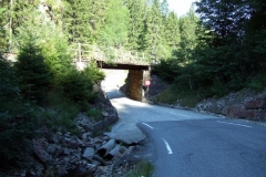 DSCF6855