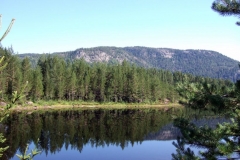 DSCF6863
