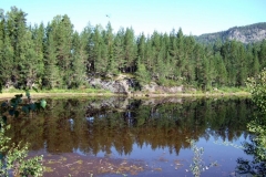 DSCF6864