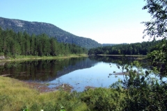 DSCF6866