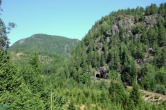 DSCF6871