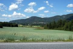 DSCF6914