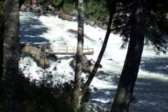 DSCF6918