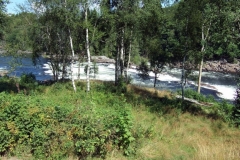 DSCF6920