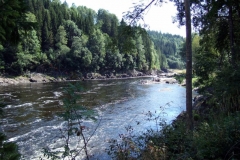 DSCF6925