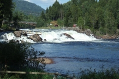 DSCF6928