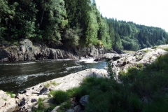 DSCF6932