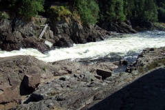 DSCF6937