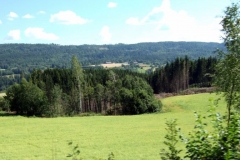 DSCF6941