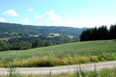 DSCF6942