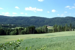 DSCF6947