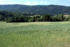 DSCF6953