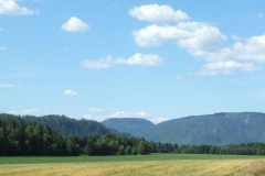 DSCF6954